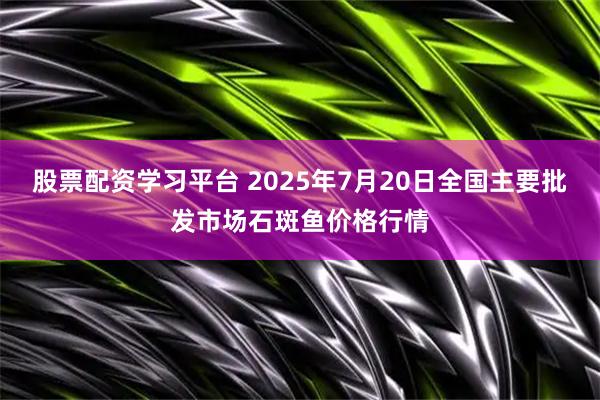 股票配资学习平台 2025年7月20日全国主要批发市场石斑鱼价格行情